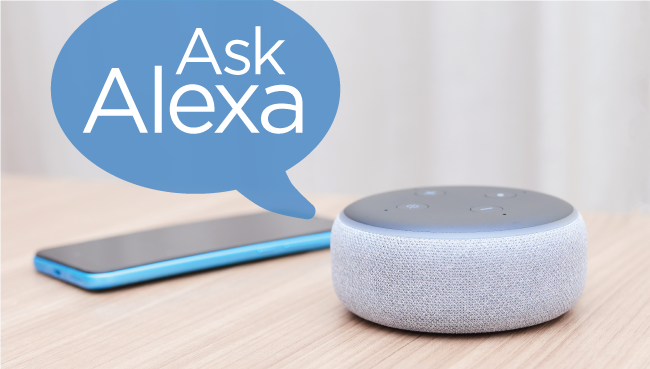 Ask Alexa Jobs Career Advice College Student